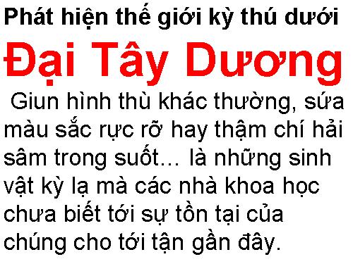 ĐÁY ĐẠI DƯƠNG.