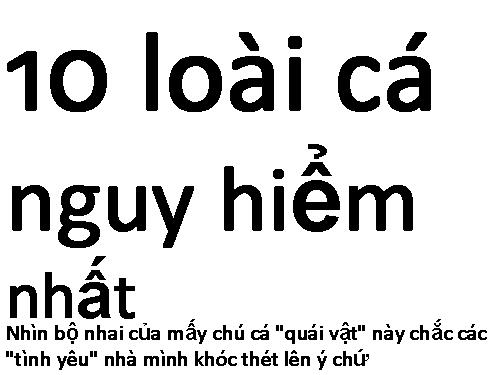 10 loài cá nguy hiểm nhất hành tinh~