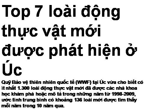 Động vật mới phát hiện ở úc!!