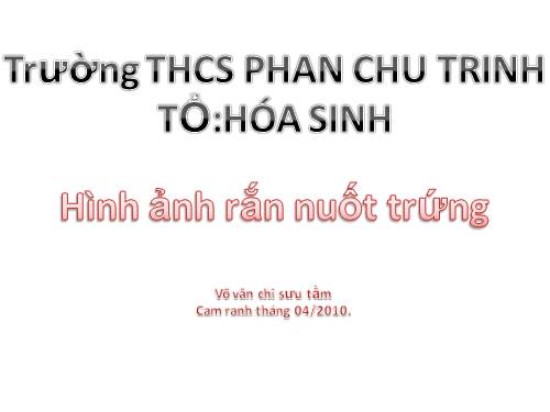 XEM THỬ RỒI HÃY CHO KẾT LUẬN!!