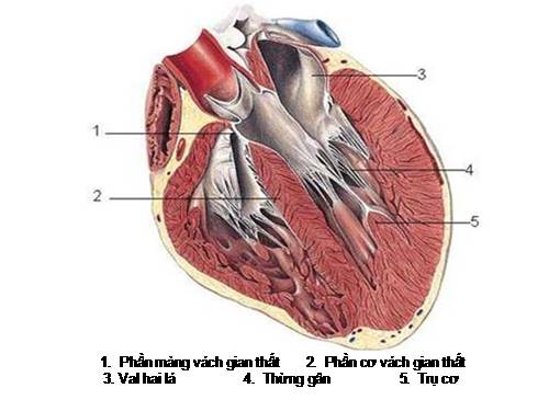 Một nữa của em nè!!!