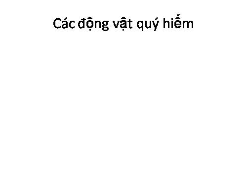 NHỮNG ĐV QUÝ HIẾM