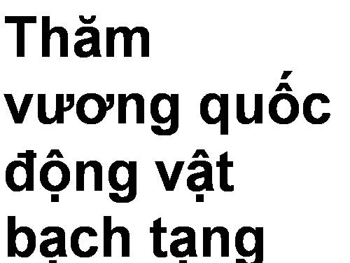 QUÝ HIẾM ĐÂY!!