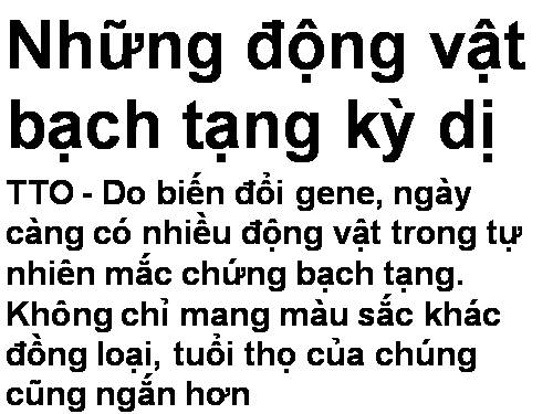 những động vật bạch tạng