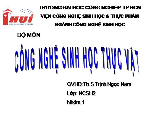 vaccine thực vật