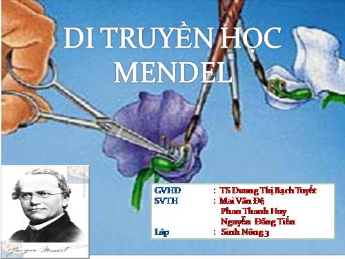 qui luật Mendel*