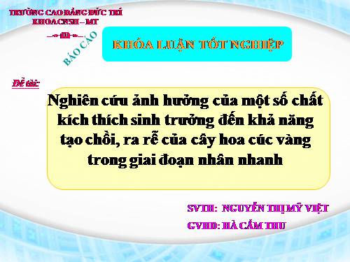 nuoi cay mo thuc vat