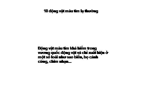 ĐV MÀU TÍM