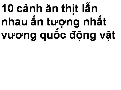 đấu tranh sinh tồn