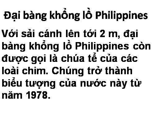 ĐẠI BÀNG PHILIPIN