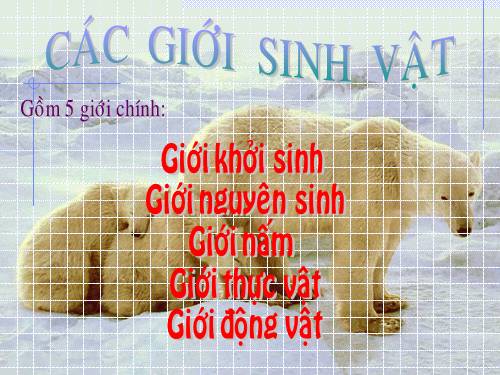 các giới sv