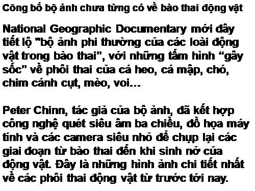 bào thai động vật