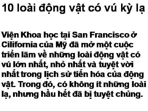 10 ĐỘNG VẬT CÓ VÚ LẠ NHẤT THẾ GIỚI