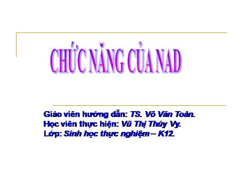 NANG LUONG SINH HOC 10