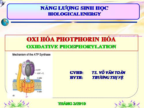 OXY HOA PHOTPHORIN HOA