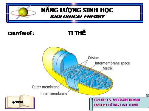 NANG LUONG SINH HOC 05