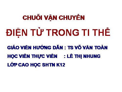 CHUOI VAN CHUYEN DIEN TU