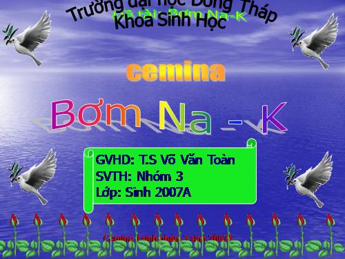 BƠM NATRI KALI