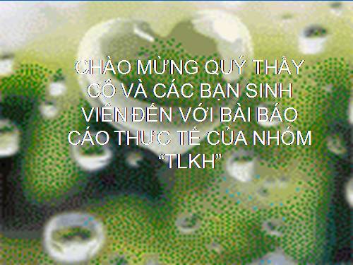 CÂY ĂN QUẢ