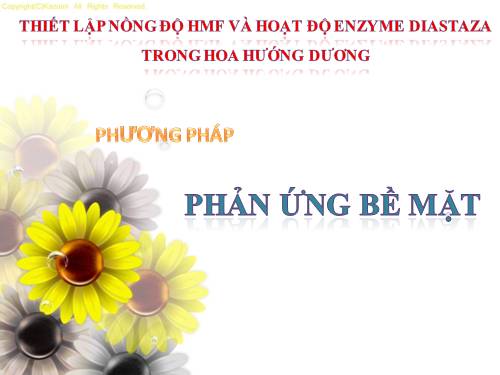 xác định hmf và diataza trong hoa hướng dương