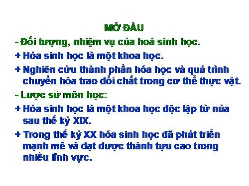 Quá trình quang hợp