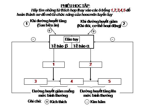 Tiet 63: Tuyến tụy và tuyến trên thận