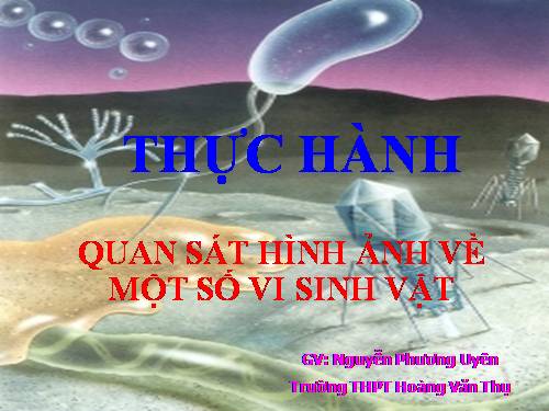 TH: quan sát Vi sinh vật