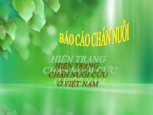 giống cừu