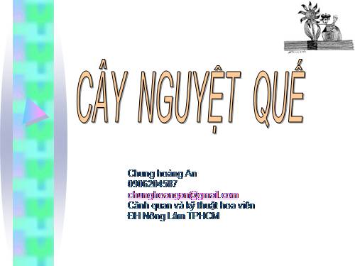 Kỹ thuật trồng Cây nguyệt quế