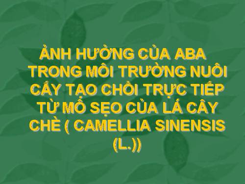 NUÔI CẤY MÔ