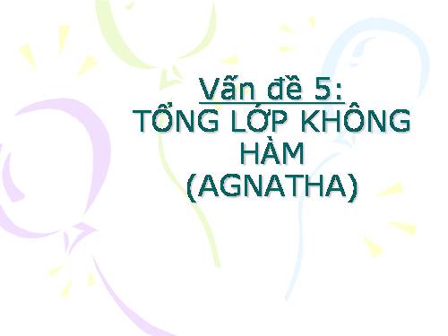 tổng lớp không hàm