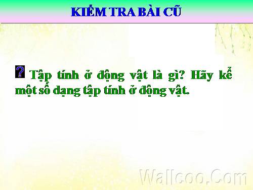 Tiết 34: Thực hành xem phim về tập tính của động vật