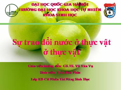 Trao đổi nước ở thực vật