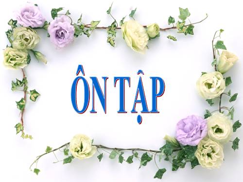 bai tap Sinh hoc 7