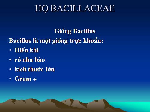 Vi sinh vật - Bện Nhiệt thán