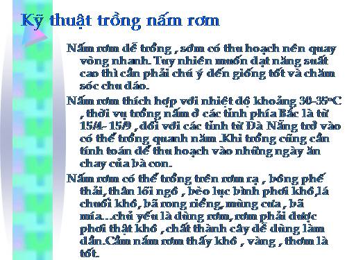 Kỹ thuật trồng nấm rơm