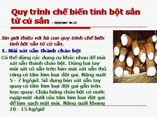 Quy trình chế biến tinh bột từ sắn