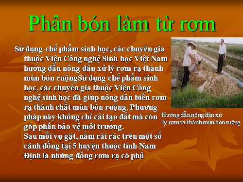 Phân bó làm từ rơm