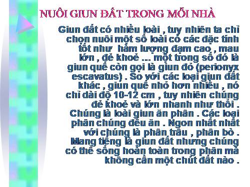 Nuôi Giun đất trong mọi nhà