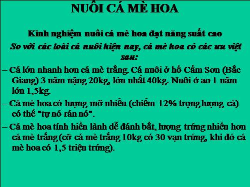 Kỹ thuật nuôi cá mè hoa