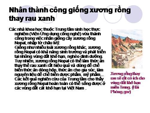 Nhân thành công giống xương rồng thay rau