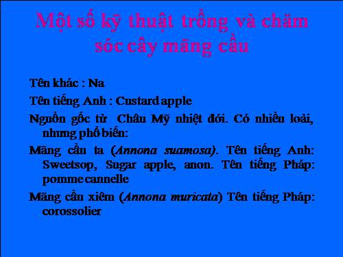 Một số kỹ thuật trồng và chăm sóc mãng cầu