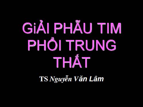 Giải phẩu tim