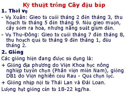 Kỹ thuật trồng cây đậu bắp