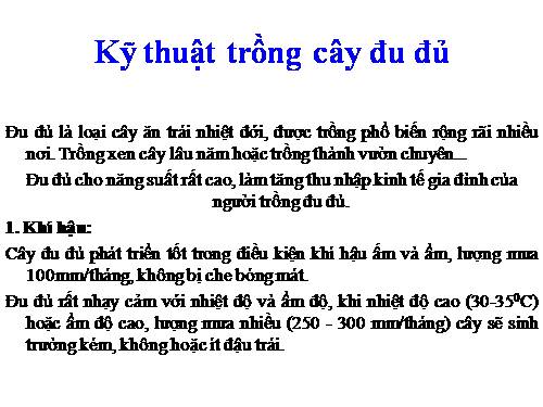 Kỹ thuật tròng cây đu đủ