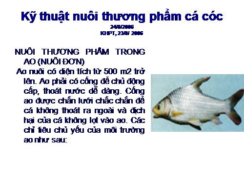 Kỹ thuật nuôi thương phẩm cá cóc