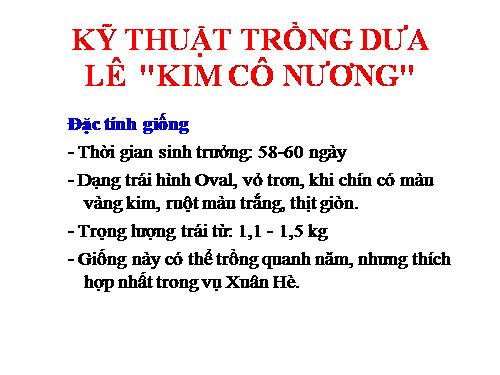 Kỹ thuật trồng dưa lê