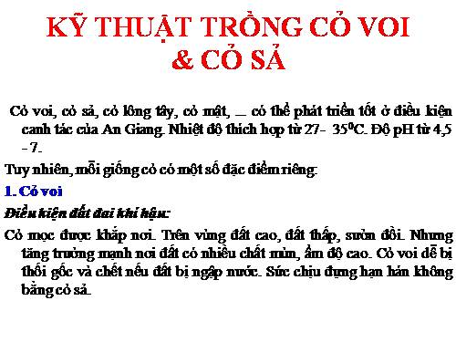 Kỹ thuật trồng có voi và cỏ sả