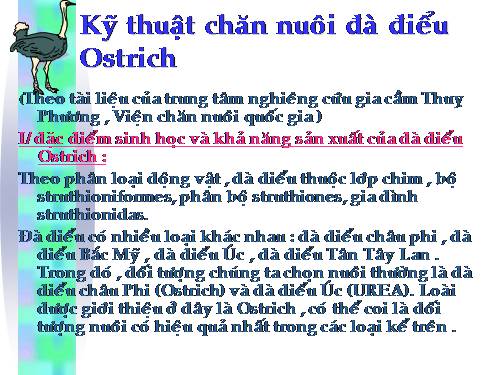 Kỹ thuật nuôi đà điểu