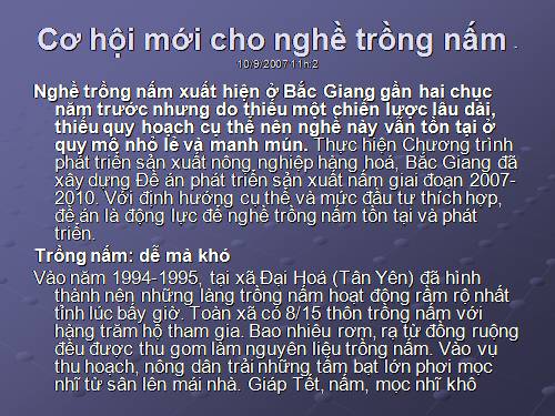 Cơ hội cho nghề trồng nấm